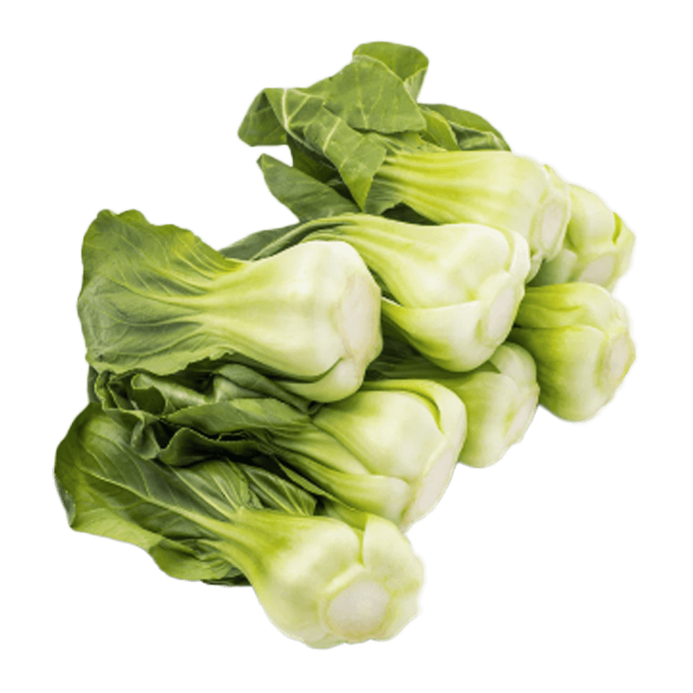 Bok choy de Shanghái